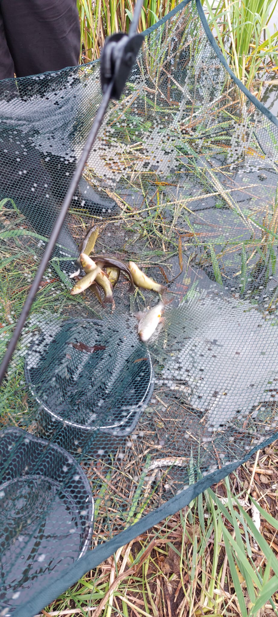 Sauerstoffmangel 2023